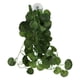 thumbnail image 5 of Plantas de reptiles para terrorio, Enredaderas de reptiles plátulas de reptiles terrorio de selva flexible y plantas flexibles colgantes enredaderas hojas artificiales, 5 of 7