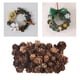 thumbnail image 5 of Colecciones florales de flores secas para manualidades: marcapáginas, joyería, velas y más. Estilo marrón 1, 5 of 9