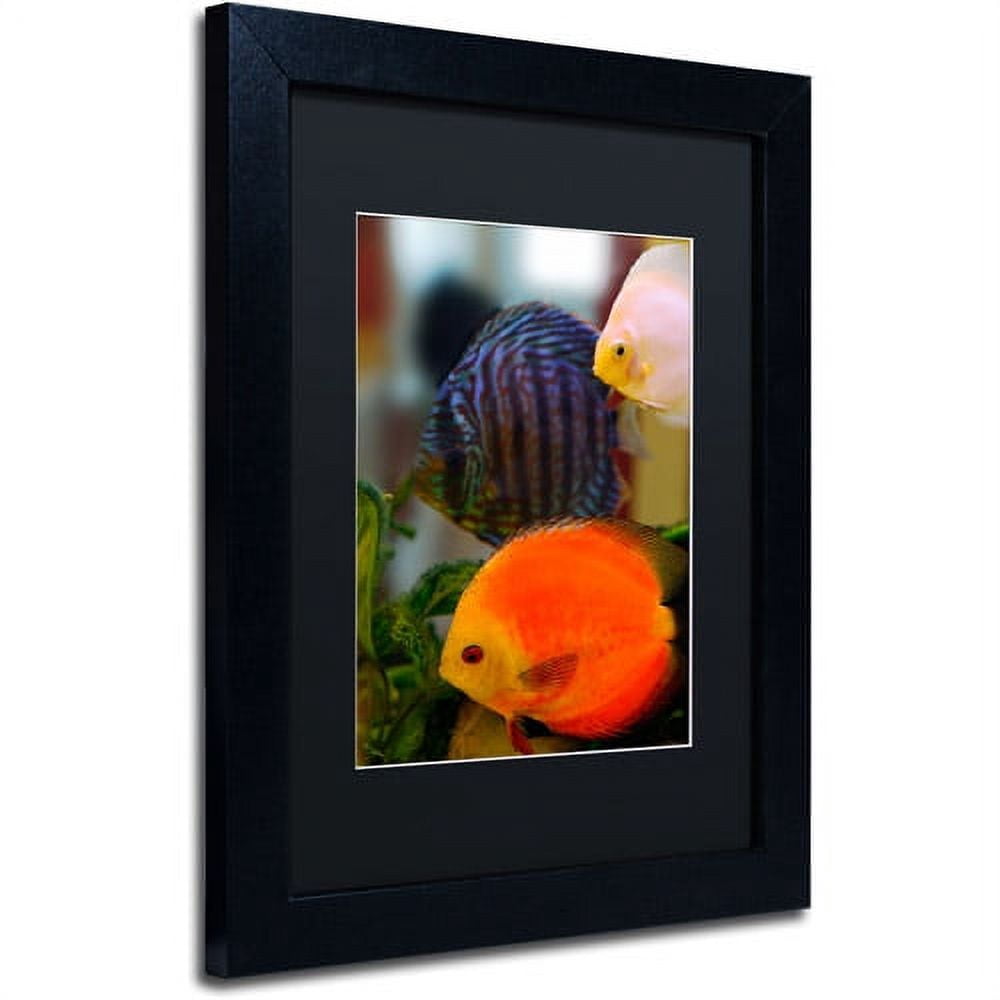 Trademark Fine Art "Multi-colored Discus" Canvas Art by Kurt Shaffer, Black Matte, Black Frame