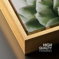 thumbnail image 4 of PixonSign Framed Canvas Print Wall Art Green Brevifolia Succulent Botanical Wilderness Photography Realism Contemporary Portrait Colorful Cool for Living Room, Bedroom, Office - 24"x36" Natural, 4 of 5