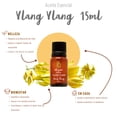 thumbnail image 5 of Aceite Esencial Puro Ylang Ylang 15ml, 5 of 5