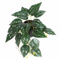 thumbnail image 4 of YAOMOBB Fake Leaves Realistic Simulation Plant Artificial Monstera Leaves for Wedding Decoration, 4 of 6