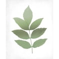 thumbnail image 3 of Kimberly, Allen 12x14 Black Modern Framed Museum Art Print Titled - Leaves Print 1, 3 of 5