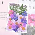 thumbnail image 1 of Dried Pressed Flowers  Combination for Resin Art Craft DIY  Art Floral Decors Collection Gift, 1 of 1