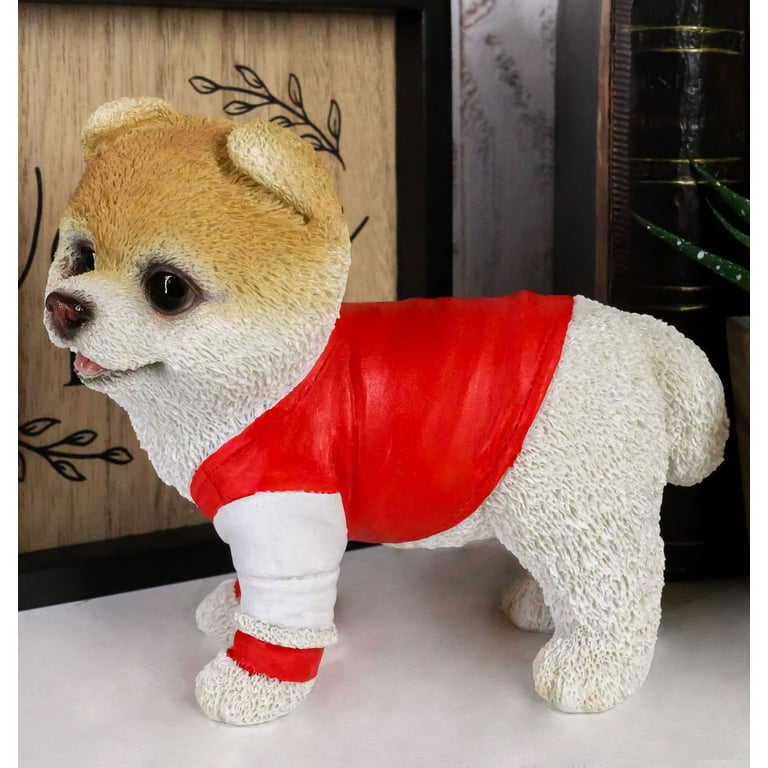 Buddy Boo The Cutest Dog Died Boo: The Life Of The World's Cutest