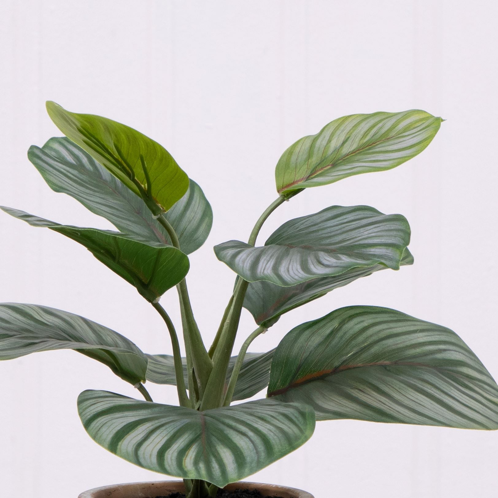 Better Homes & Gardens Artificial Indoor Calathea Plant in Stone Planter