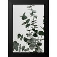 thumbnail image 1 of Artographie Studio 17x24 Black Modern Framed Museum Art Print Titled - Eucalyptus Natural 07, 1 of 4
