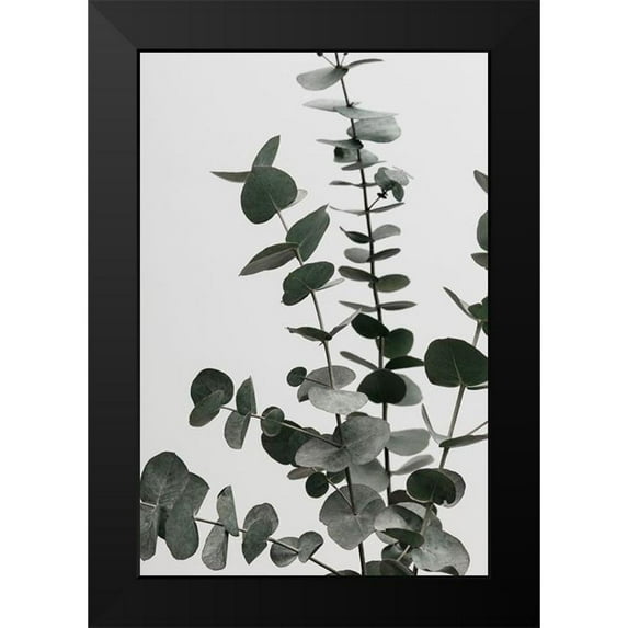 Artographie Studio 17x24 Black Modern Framed Museum Art Print Titled - Eucalyptus Natural 07