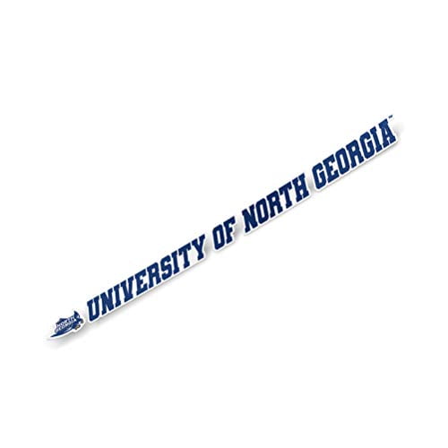 University of North Georgia UNG Nighthawks NCAA Name Logo Vinyl Decal Laptop Water Bottle Car Scrapbook 15 Inch Sticker