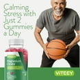 thumbnail image 6 of VITEEY Magnesium Gummies 66mg, Calm Magnesium Citrate Stress Gummies, Raspberry Flavor, 60 Ct, 6 of 7
