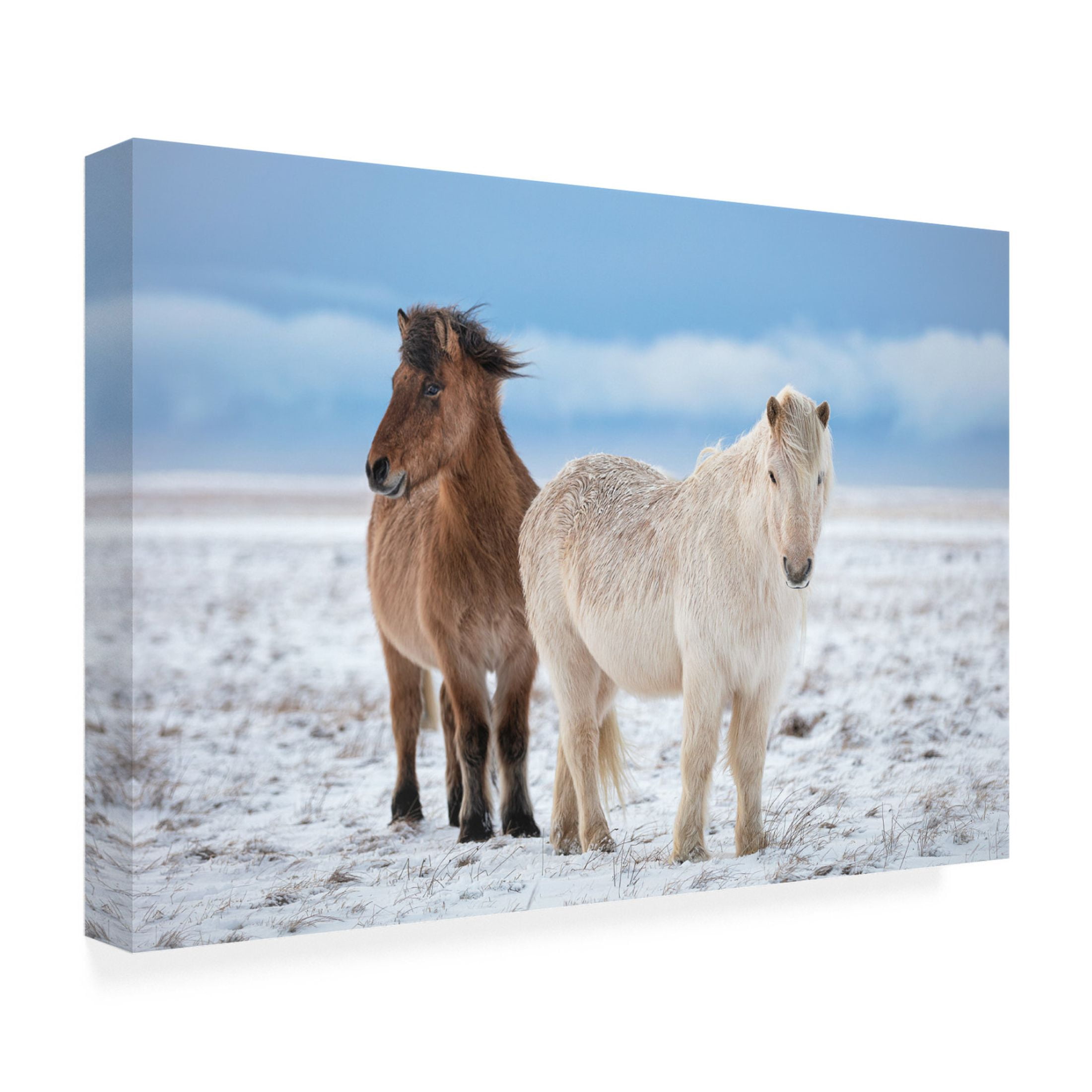 Canvas Wall Art - Fegari  'B R O T H E R S' Wall Art for Living Room, Bedroom, or Office Décor by Trademark Fine Art - 19 x 12 Inches