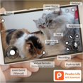 thumbnail image 2 of Pawbo+ Wi-Fi Interactive Pet Camera and Treat Dispenser, 2 of 9