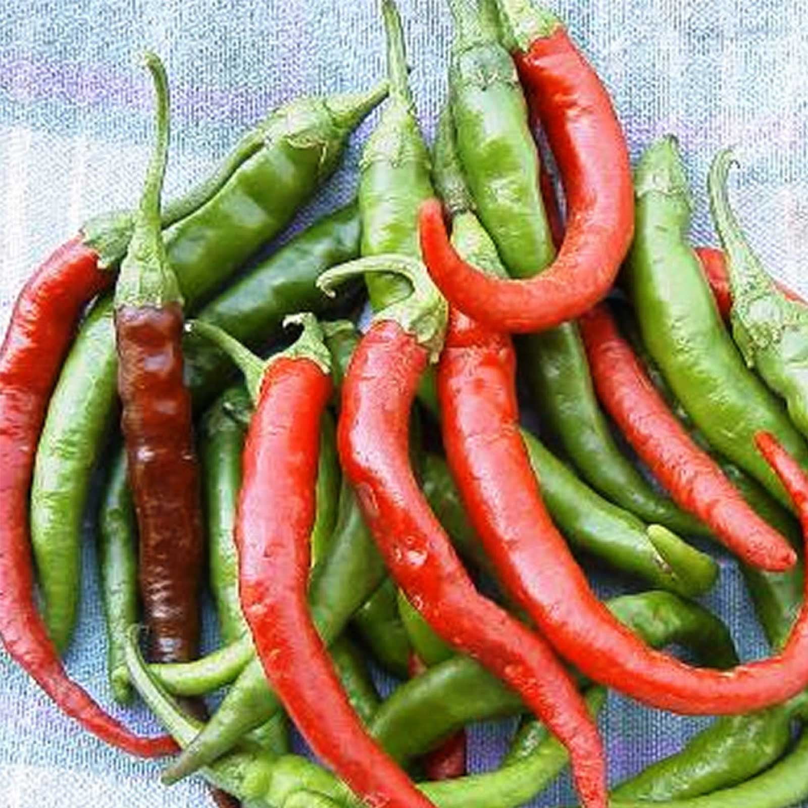 Long Slim Cayenne Hot Pepper Garden Seeds 1 Oz NonGMO, Heirloom
