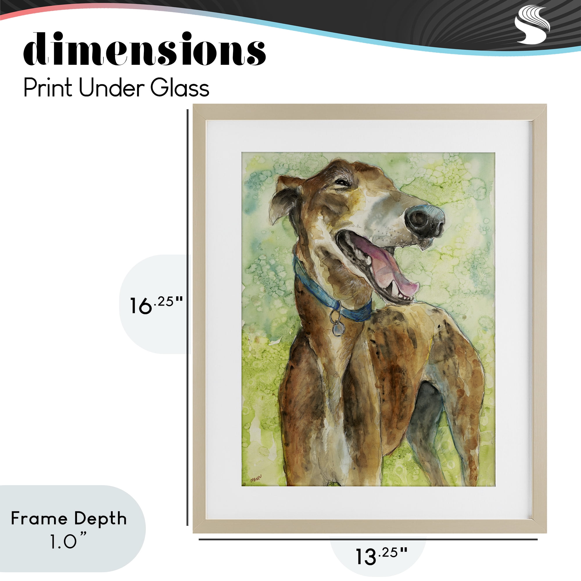 Stupell Industries Greyhound Smile Watercolor Birch Framed Print Under Glass, design by Patti Mann