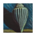 thumbnail image 1 of Sea Shell Serendipity - Canvas, 1 of 10