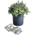 thumbnail image 4 of Maceta grande para flores, caja de seguridad oculta, escondite secreto sorpresa, alijo de plantas, oculta dinero, llaves, organizador de joyas, otros objetos de valor, 4 of 5