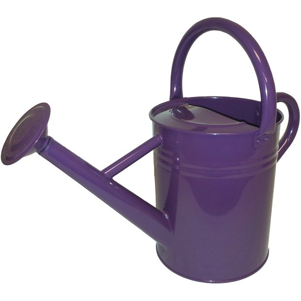 Galvanized Steel Watering Can 1GallonPlum