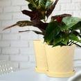 thumbnail image 2 of BUYMAX Plant Pots Indoor –6 inch Ceramic Flower Pot with Drainage Hole and Ceramic Tray - Gardening Home Desktop Office Windowsill Decoration, Set of 2(YELLOW), 2 of 6