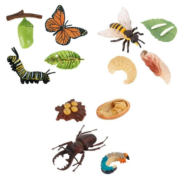 Realistas de Plástico de Educación Biología Juguetes Material Didáctico