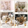 thumbnail image 6 of 100PCS Natural Pampas Grass Bouquet | Boho & Western Wedding Decor Flowers Dried Pampas Grass Decor for Elegant Floral Arrangements, Home & Table Decorations A, 6 of 9