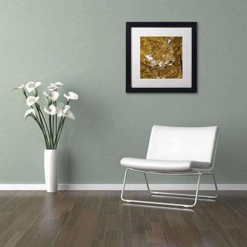 Trademark Fine Art "Golden Canopy of Autumn" Canvas Art by Kurt Shaffer, White Matte, Black Frame