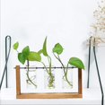 thumbnail image 2 of Florero transparente con marco de madera para planta hidropónica de terrario kaili Sencillez, 2 of 2