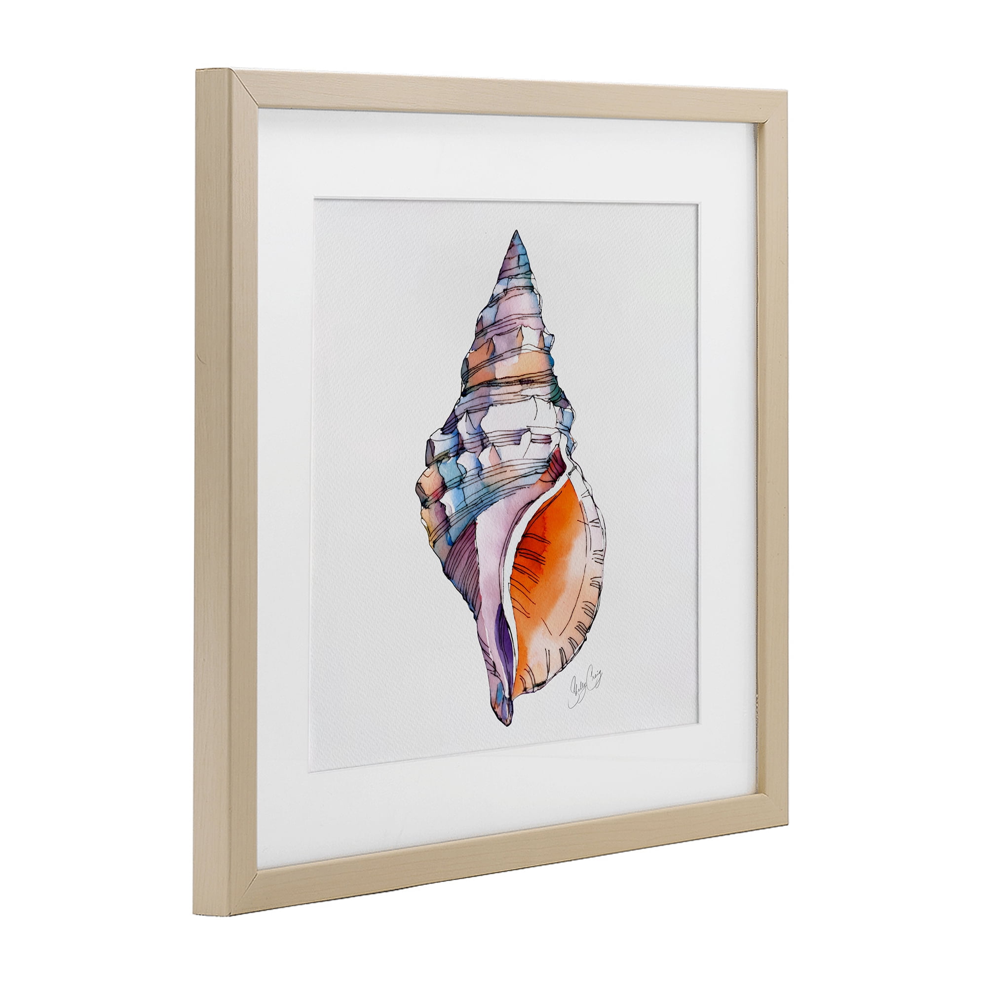 Stupell Industries Sunrise Conch Shell Birch Framed Print Under Glass, design by Shelly Craig