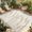 Light Brown White, variant on Indoor Outdoor Area Rugs,Pastoral Reed Pampas Grass Plant Washable Patio Rug Non-slip Quick Dry Camping Rugs,Autumn Botanical on White Floor Carpet for Porch Deck Backyard RV Decor,4x6ft