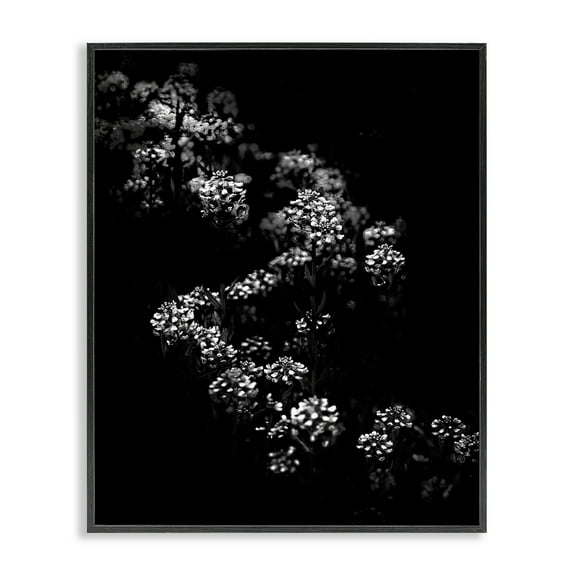 Stupell Industries Curved Blossom Line Plants & Flowers Photography Black Framed Art Print Wall Art, 11 x 14