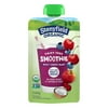 Stonyfield Organic Kids Fruit and Veggie Blueberry Cherry Blast Smoothie, 3.2 Ounce -- 6 per case.