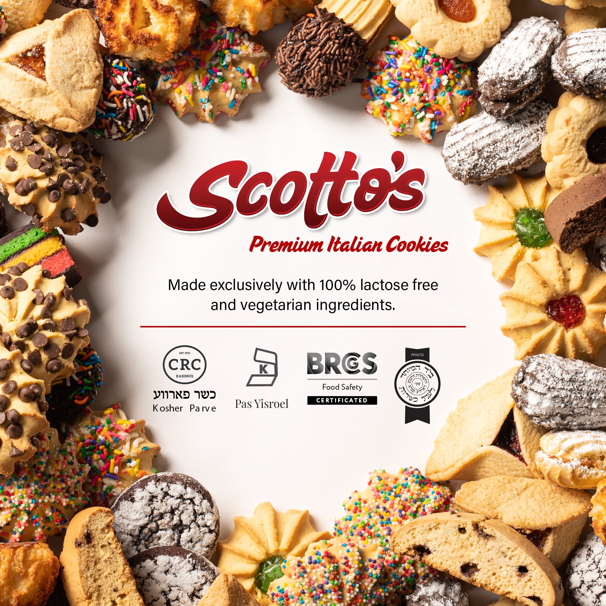 Scotto's Biscotti Italian Cookies Pack of 24 , Chocolate Chip Biscotti Individually Wrapped Ready to Eat Snack