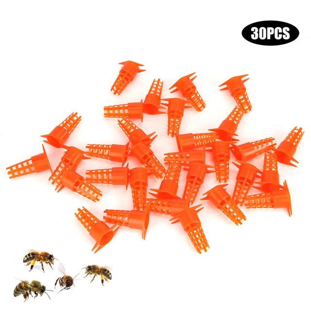 Bee Queen Cage Beekeeping Rearing Tools Bee Queen Rearing Cup 30pcs Plastic Bee Queen Cage Protective Cover Queen Rearing Cup Beekeeping Equipments Tools