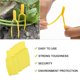thumbnail image 5 of Clips De Soporte De Plantas Abrazadera De Plantas Agrícolas Clips De Fijación De Plantas De Plástico Clips De Protección De Plántulas Reutilizables Herramientas De Jardín Convenientes 50Pcs Sweethay HA023344-00, 5 of 7