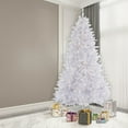 thumbnail image 6 of Vickerman 10' Crystal White Pine Artificial Christmas Tree, Clear Dura-lit Incandescent Lights, 6 of 6