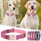 thumbnail image 2 of Heavy Duty Metal Clasp Dog Collar for Large Dogs Engraved Hand-made Lasers Engraved Boho Collar Pet Supply, 2 of 5
