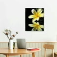 thumbnail image 2 of Creowell Plumeria Flower Wall Art Yellow Flower Black and White Picture Canvas Print Wall Painting Modern Artwork Wall Décor for Bedroom Living Room Bathroom Office (16x20inch), 2 of 3