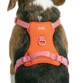 thumbnail image 3 of Oodles Adjusable Dog Walking Harness with Handle, Red, Medium, 3 of 12