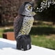 thumbnail image 3 of Señuelo de búho con cabeza giratoria, repelente de plagas de aves, espantapájaros para jardín, tiene sonido, 3 of 11