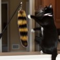 thumbnail image 4 of Palo Telescópico Wdftyju Juguete Interactivo de Pluma para Gato, 4 of 8