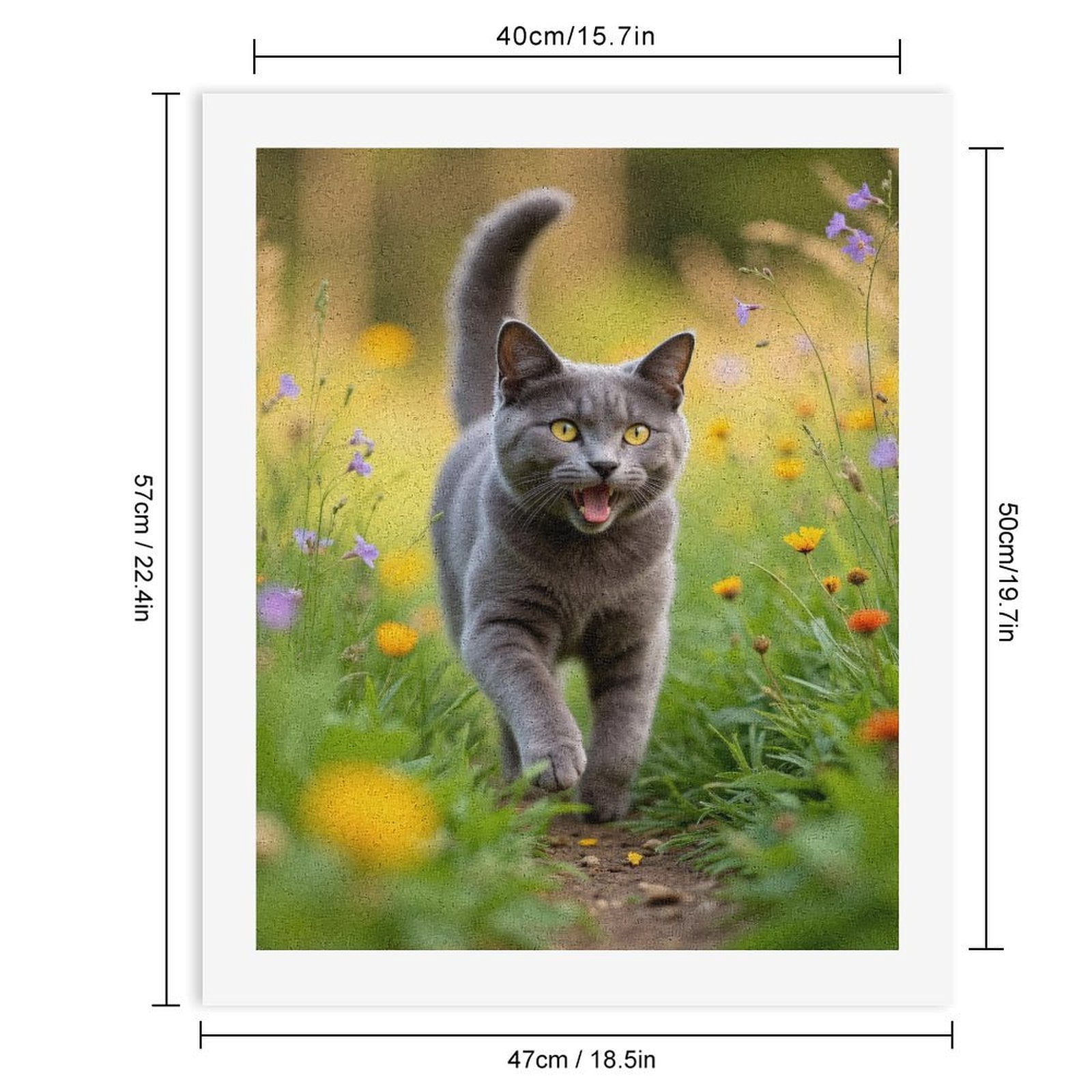 Paint by Numbers Kit for Adults, Gray Cat In Flower Garden Paint by Numbers, Easy Paint by Numbers Kit for Adults Beginner, DIY Adult Paint by Number Kits on Canvas, 12x16in Home Decor