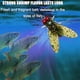 thumbnail image 3 of Bionic Fly Fishing Bait 20PCS, 2024 New Fly Hook Soft Bait Add Fish Attractant Fishing Gear, 3 of 5