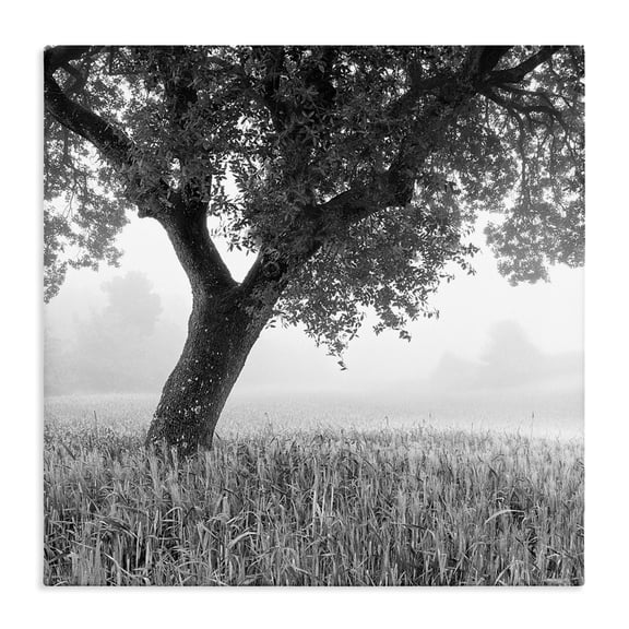 Stupell Industries Rustic Lodge Tuscan Morning Scenery Canvas Art, 17 x 17, by Chip Forelli