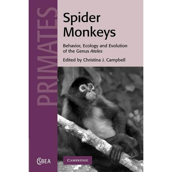 Cambridge Studies in Biological and Evol Spider Monkeys: The Biology, Behavior and Ecology of the Genus Ateles, Book 55, (Paperback)