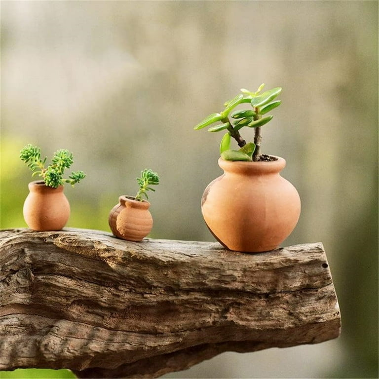 Happon 8 Pcs 0.6 x 0.5 inch Small Mini Terracotta Clay Pots Flower Pots,  Clay Pots Cactus Nursery Planter Succulent Terracotta Pots for Indoor  Outdoor ...