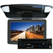 Bravo View 9" Widescreen Overhead LCD Monitor with Bravo View Car Stand-Alone DVD Player, Bundle