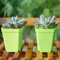 thumbnail image 2 of MYG pour Pots de Fleurs Carrés Colorés Ensemble de 10 - Mini Conteneurs en Plastique avec Plateaux de Drainage, Pots de Jardinage Réutilisables pour Plantes d'Intérieur et d'Extérieur, 2.7 x 3.12 Pouces, 2 of 6