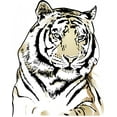 thumbnail image 2 of Tiger Wall Decal by Wallmonkeys Peel and Stick Graphic (24 in H x 19 in W) WM7793, 2 of 4
