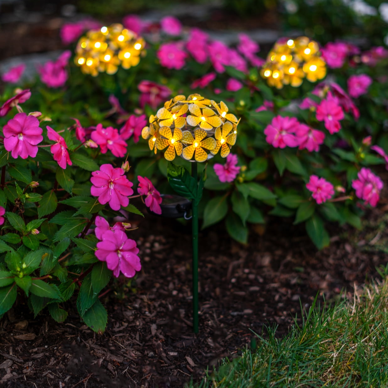 Solar LED Metal Flower Stake Lights - Multiple Colors