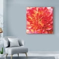 thumbnail image 3 of Trademark Fine Art 'Painterly Flower II' Canvas Art by Lola Henry, 3 of 4