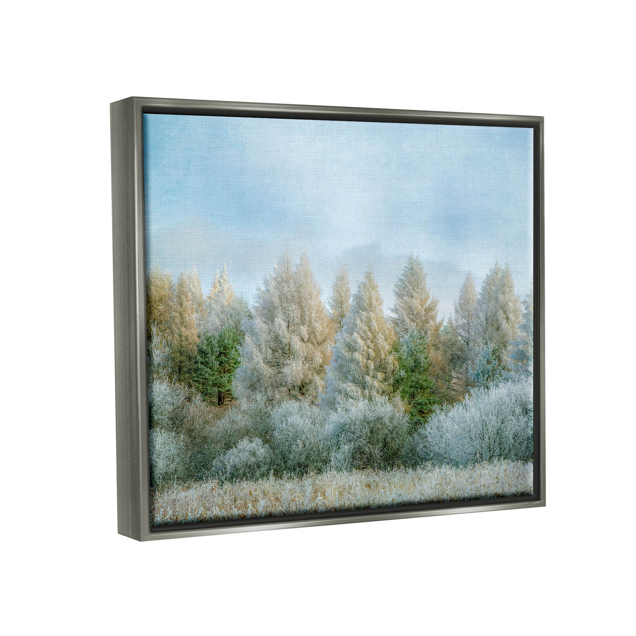 Woodland Grove Forest Trees Landscape Photograph Luster Gray Framed Art Print Wall Art